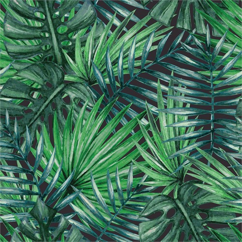 Palmenblätter, palm leaves
